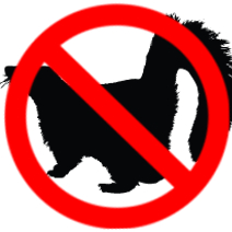 skunk wildlife removal stcatharines